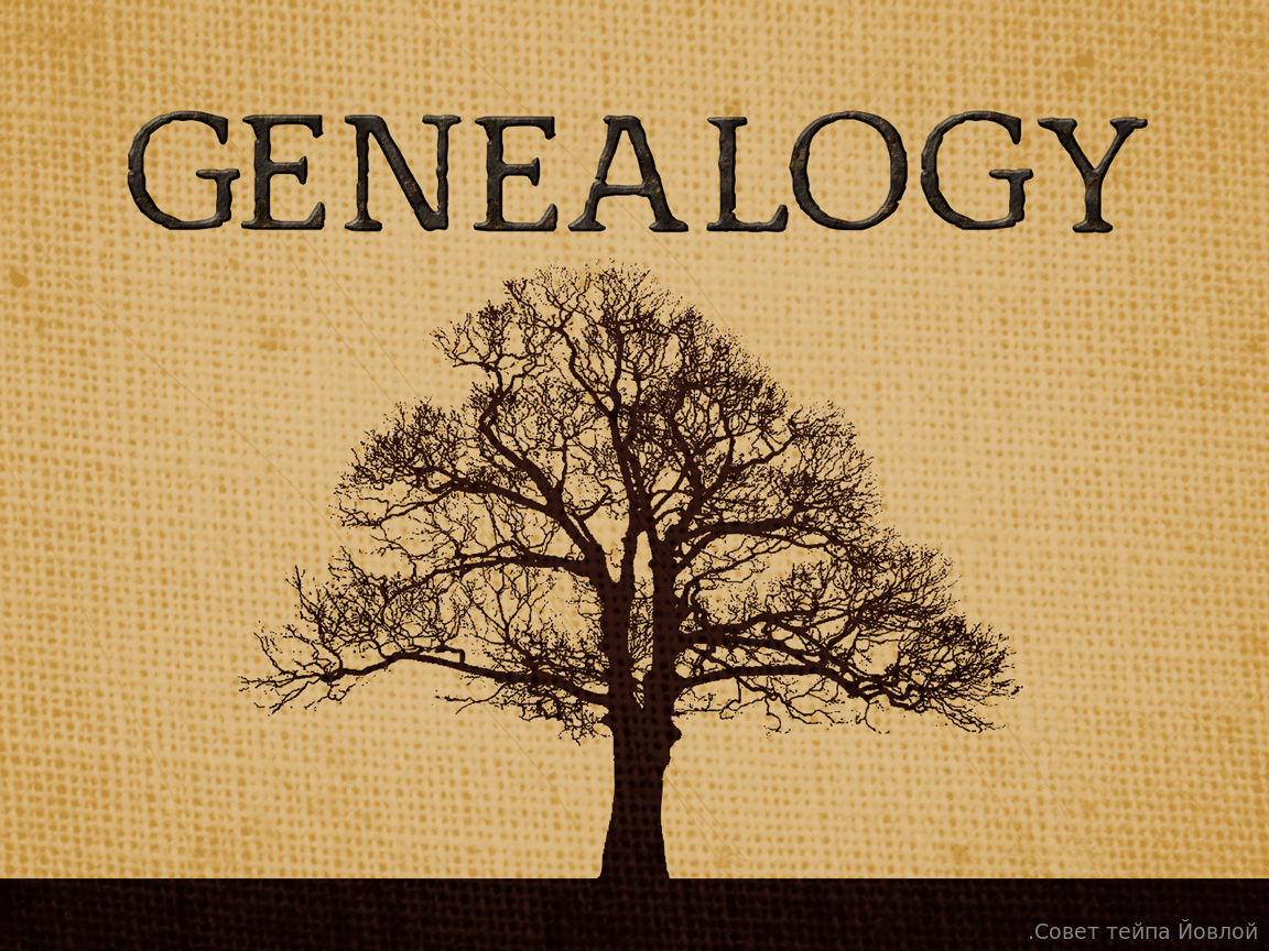 genealogy